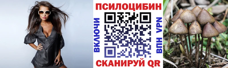 Купить где  Алатырь  Псилоцибиновые грибы Magic Shrooms 